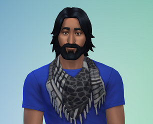 sim 3.png