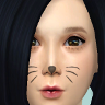 whisk.png