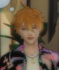 jojitodorito