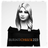 burntcheese223